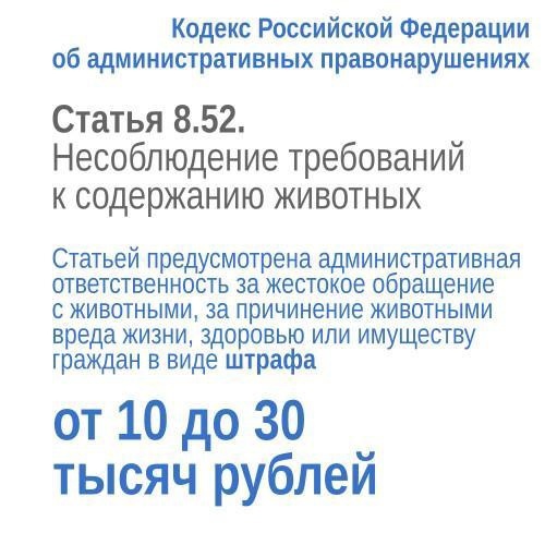 Несоблюдение требований к содержанию домашних животных!.